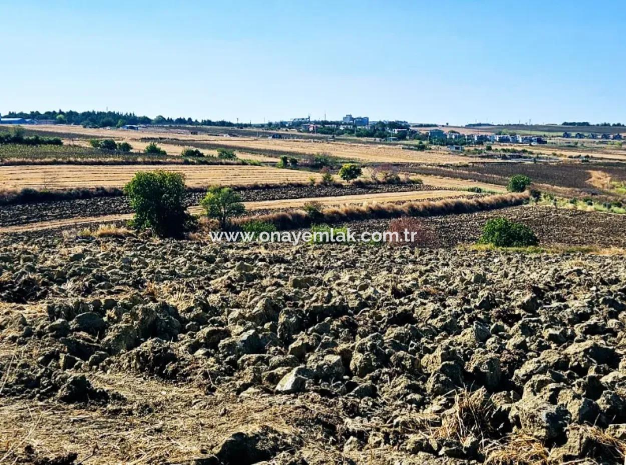 2.650 M2 Villa For Urgent Sale In Tekirdag Barbarosta Zoned Coupon Field Suitable For Investment