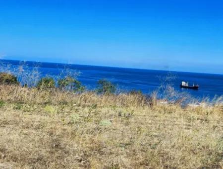 Coupon Land Suitable For Building A Detached House With Full Sea View For Urgent Sale In Tekirdag Barbarosta