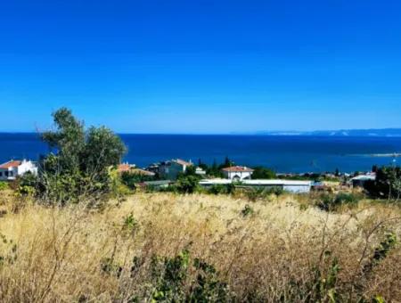 Amazing Investment Opportunity For 6 Villas With Sea View In Tekirdag Süleymanpaşa Barbarossa!