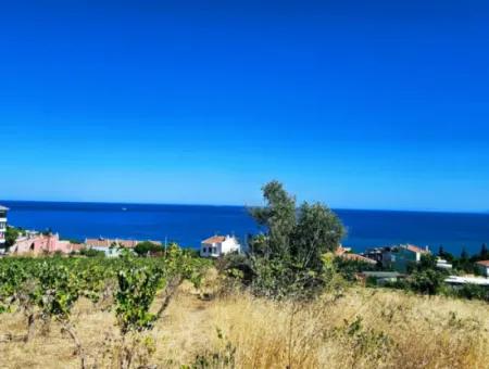 Amazing Investment Opportunity For 6 Villas With Sea View In Tekirdag Süleymanpaşa Barbarossa!