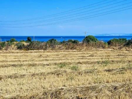 8.500 M2 Residential Zoned Coupon Field For Urgent Sale Close To Asyaport Port