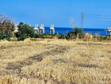 8.500 M2 Residential Zoned Coupon Field For Urgent Sale Close To Asyaport Port