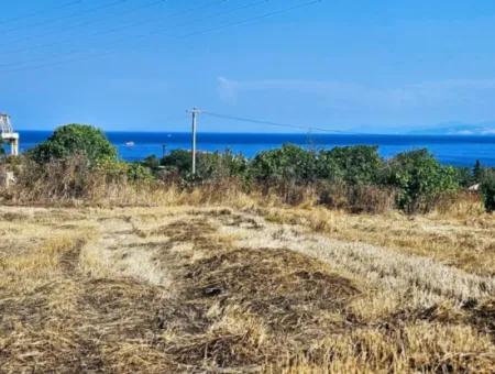 4.150 M2 Residential Zoned Field For Urgent Sale Just 1 Km From Asyaport Port