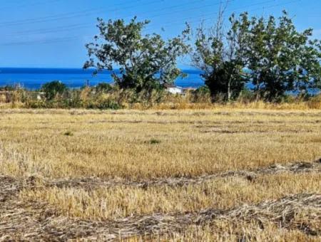 4.150 M2 Residential Zoned Field For Urgent Sale Just 1 Km From Asyaport Port