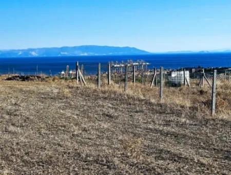 765 M2 Bargain Land With Full Sea View For Urgent Sale In Tekirdag Barbarosta