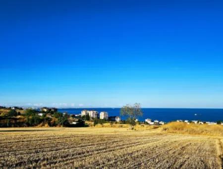 1.750 M2 Bargain Corner Plot With Full Sea View For Urgent Sale In Tekirdag Barbarosta