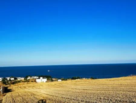 1.750 M2 Bargain Corner Plot With Full Sea View For Urgent Sale In Tekirdag Barbarosta