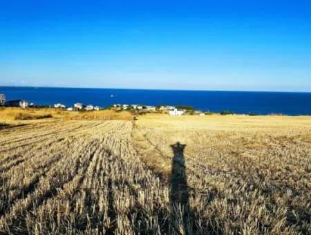 1.750 M2 Bargain Corner Plot With Full Sea View For Urgent Sale In Tekirdag Barbarosta