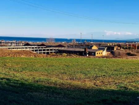 3.100 M2 Field For Sale In Tekirdag Süleymanpaşa Barbaros With Magnificent Sea And Nature Views