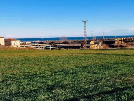 3.100 M2 Field For Sale In Tekirdag Süleymanpaşa Barbaros With Magnificent Sea And Nature Views