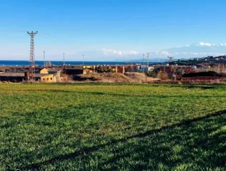 3.100 M2 Field For Sale In Tekirdag Süleymanpaşa Barbaros With Magnificent Sea And Nature Views