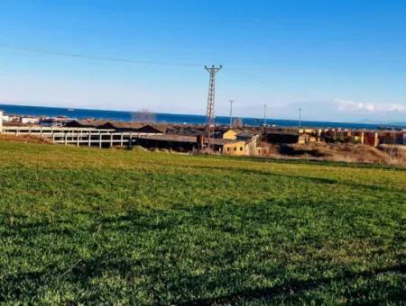 3.100 M2 Field For Sale In Tekirdag Süleymanpaşa Barbaros With Magnificent Sea And Nature Views