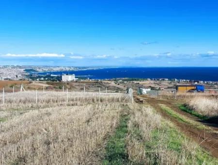 15.500 M2 Full Sea View Villa For Urgent Sale In Tekirdag Topağaç Neighborhood