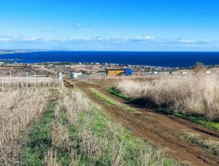 15.500 M2 Full Sea View Villa For Urgent Sale In Tekirdag Topağaç Neighborhood