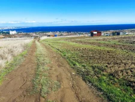 15.500 M2 Full Sea View Villa For Urgent Sale In Tekirdag Topağaç Neighborhood