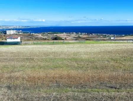 15.500 M2 Full Sea View Villa For Urgent Sale In Tekirdag Topağaç Neighborhood