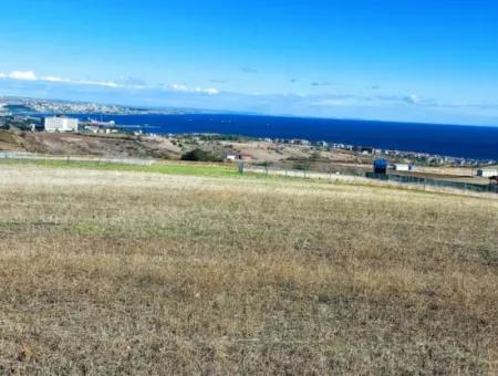 15.500 M2 Full Sea View Villa For Urgent Sale In Tekirdag Topağaç Neighborhood