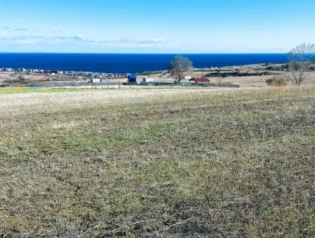 15.500 M2 Full Sea View Villa For Urgent Sale In Tekirdag Topağaç Neighborhood