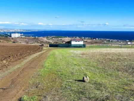 15.500 M2 Full Sea View Villa For Urgent Sale In Tekirdag Topağaç Neighborhood