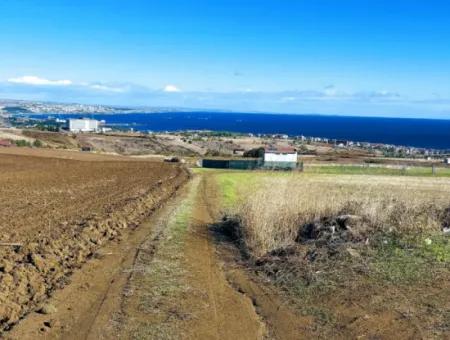 15.500 M2 Full Sea View Villa For Urgent Sale In Tekirdag Topağaç Neighborhood