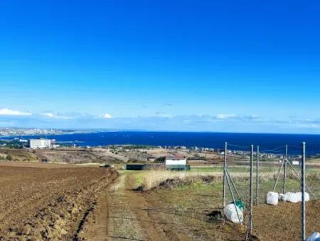 15.500 M2 Full Sea View Villa For Urgent Sale In Tekirdag Topağaç Neighborhood