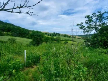 2.820 M2 Coupon Place Suitable To Put Tiny House In Nature For Urgent Sale In Tekirdağ Avşar Neighborhood