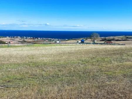 Urgent Sale In Barbarosta, Tekirdag, 15.000 M2 Villa Zoned Field!