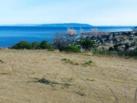 Coupon Land For Urgent Sale Suitable For Building Your Detached House With Wonderful Sea View In Tekirdag Barbarosta