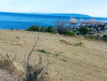 Coupon Land For Urgent Sale Suitable For Building Your Detached House With Wonderful Sea View In Tekirdag Barbarosta