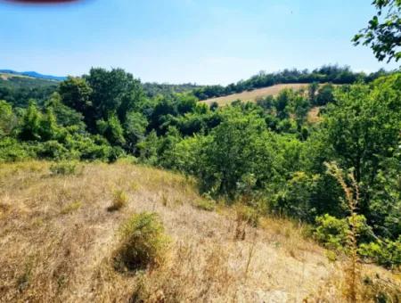 Coupon Field With Main Road Frontage Suitable For Nature Enthusiasts To Put Tiny House For Urgent Sale In Tekirdag Çanakçi Neighborhood