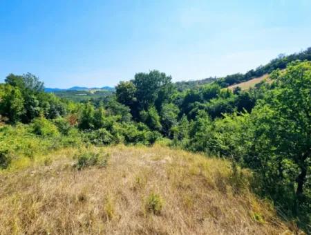 Coupon Field With Main Road Frontage Suitable For Nature Enthusiasts To Put Tiny House For Urgent Sale In Tekirdag Çanakçi Neighborhood