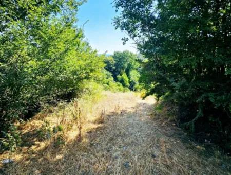 Coupon Field With Main Road Frontage Suitable For Nature Enthusiasts To Put Tiny House For Urgent Sale In Tekirdag Çanakçi Neighborhood