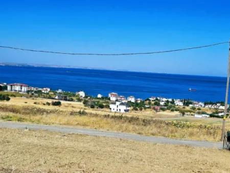 Coupon Land For Urgent Sale Suitable For Building A Detached House In Tekirdag Barbarosta