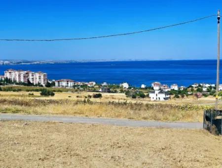 Coupon Land For Urgent Sale Suitable For Building A Detached House In Tekirdag Barbarosta