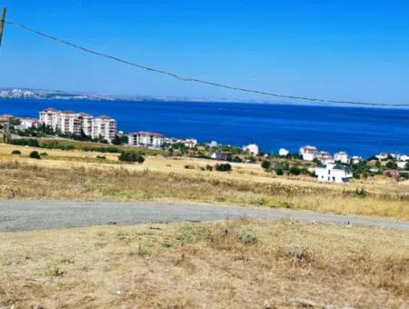 Coupon Land For Urgent Sale Suitable For Building A Detached House In Tekirdag Barbarosta