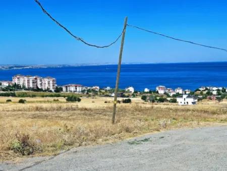 Coupon Land For Urgent Sale Suitable For Building A Detached House In Tekirdag Barbarosta