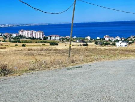 Coupon Land For Urgent Sale Suitable For Building A Detached House In Tekirdag Barbarosta