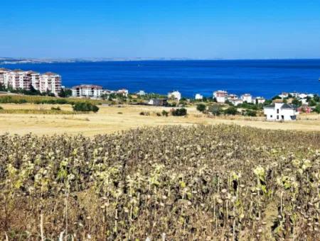 Coupon Land For Urgent Sale Suitable For Building A Detached House In Tekirdag Barbarosta