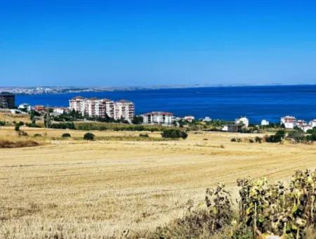 Coupon Land For Urgent Sale Suitable For Building A Detached House In Tekirdag Barbarosta