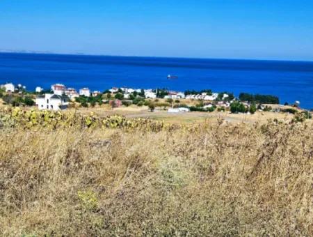 Coupon Land For Urgent Sale Suitable For Building A Detached House In Tekirdag Barbarosta