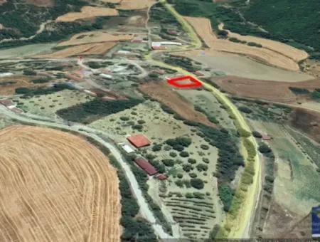 Detached Title Deed Coupon Place Suitable For Building A 335 M2 Village House For Urgent Sale In Tekirdağ Avşar Neighborhood