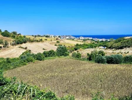 9.100 M2 Villa Zoned Field For Urgent Sale In Tekirdag Barbarosta