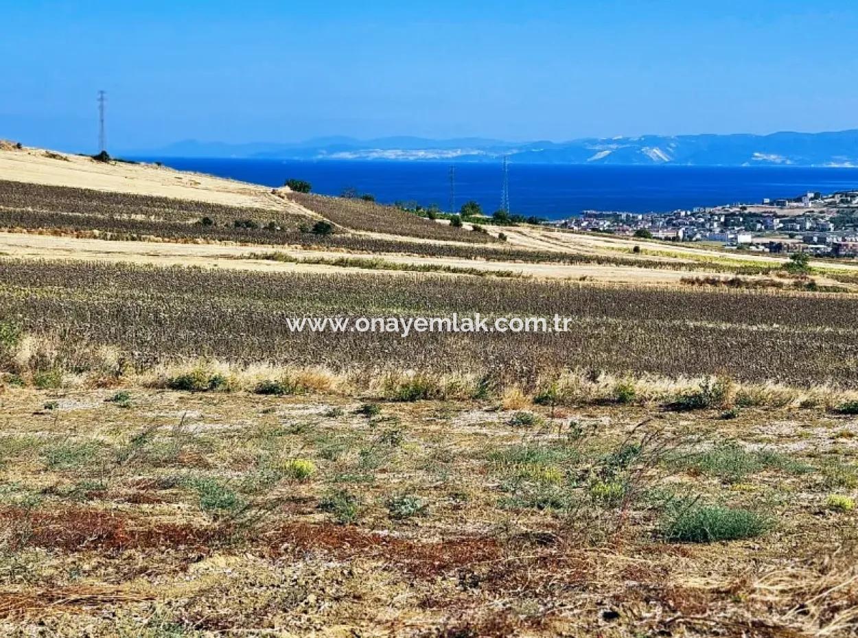 Asyaport Limanı Mevcut İmar Planı İçinde ( Ticari & Sanai ) Alanı Bölgedinde Acil Satılık 6.400 M2 Yatırım Fırsatı