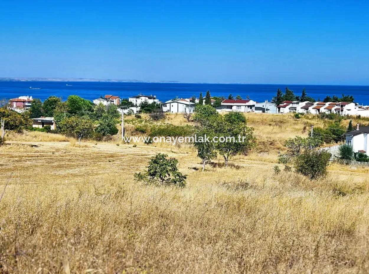 Tekirdağ Barbarosta Acil Satılık Full Deniz Manzaralı Müstakil Ev Yapmaya Uygun Kupon Arsa