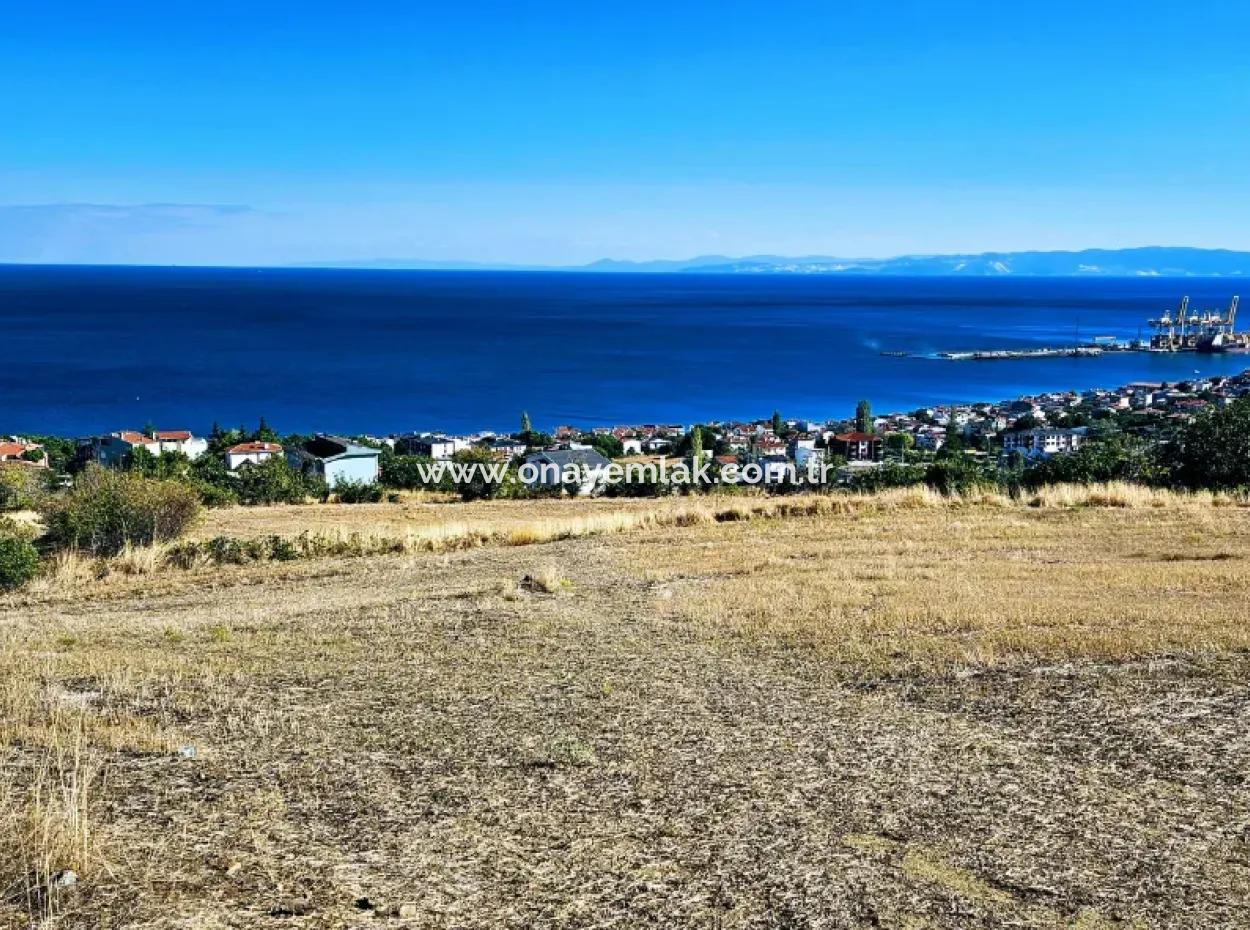 Tekirdağ Barbarosta Acil Satılık Full Deniz Manzaralı 25 Dairelik Kupon Yer