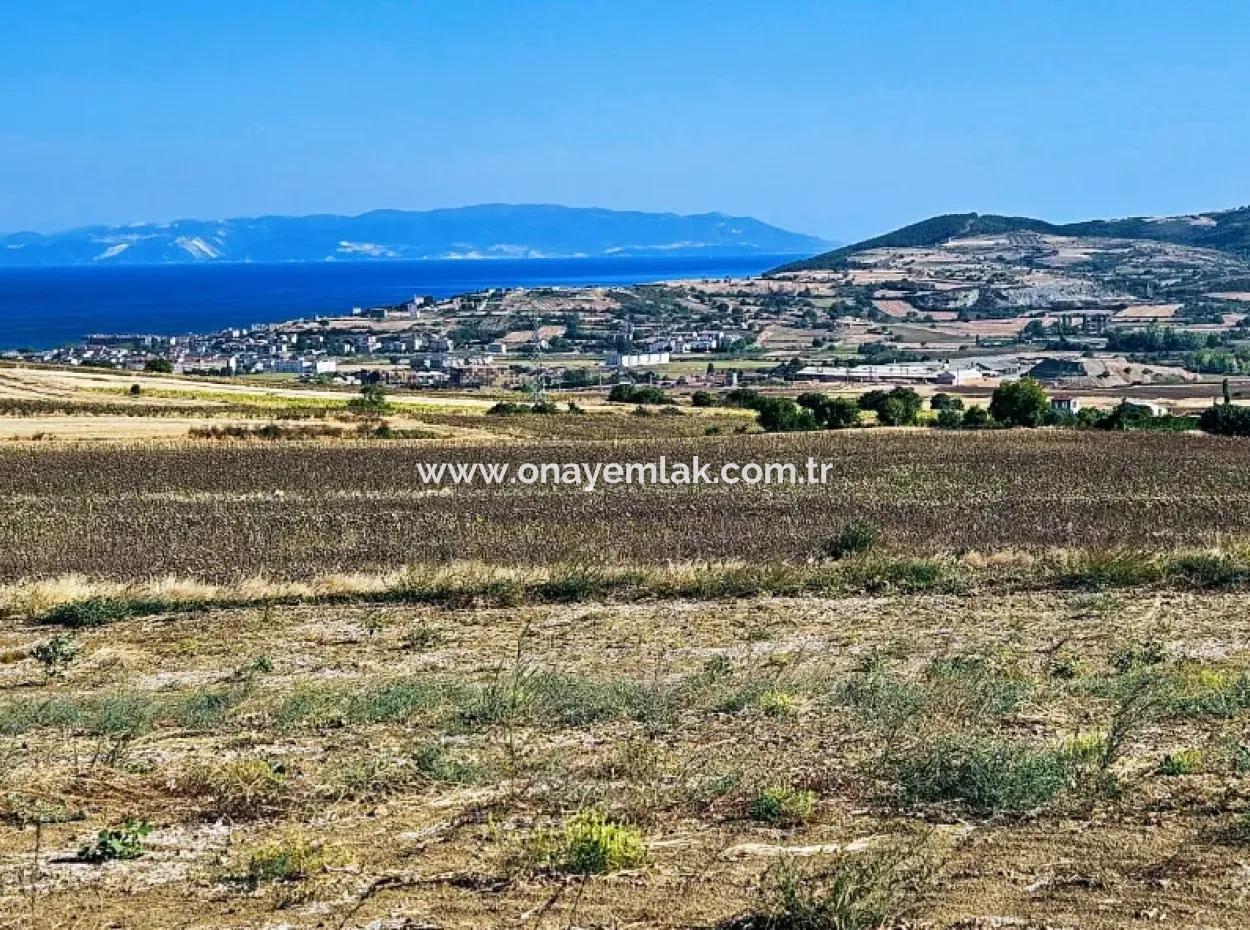 Asyaport Limanı Mevcut İmar Planı İçinde ( Ticari & Sanai ) Alanı Bölgedinde Acil Satılık 6.400 M2 Yatırım Fırsatı