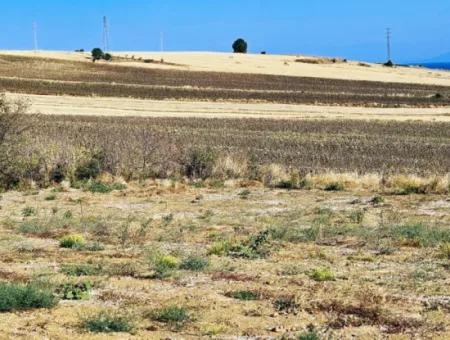 Asyaport Limanı Mevcut İmar Planı İçinde ( Ticari & Sanai ) Alanı Bölgedinde Acil Satılık 6.400 M2 Yatırım Fırsatı