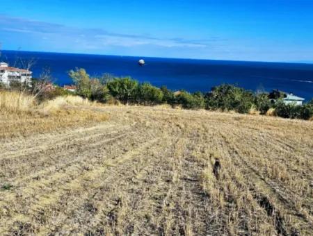 Tekirdağ Barbarosta Acil Satılık Full Deniz Manzaralı 25 Dairelik Kupon Yer