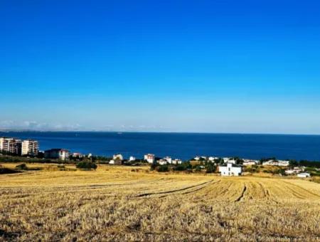 Tekirdağ Barbarosta  Acil Satılık 1.750 M2 Full Deniz Manzaralı Kelepir Köşe Arsa