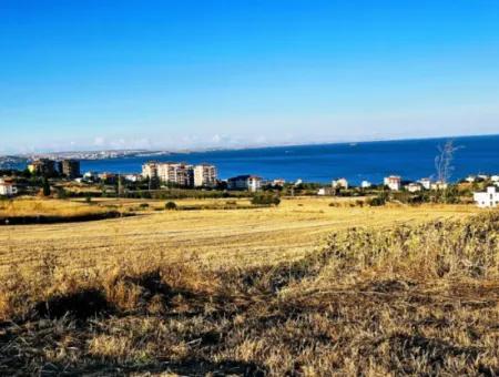 Tekirdağ Barbarosta  Acil Satılık 1.750 M2 Full Deniz Manzaralı Kelepir Köşe Arsa